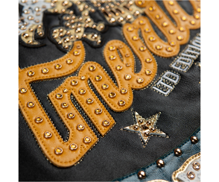 Pelle Pelle American Bruiser Plush Jacket, BLACK / TEAL / WHITE / MAIZE, gallery detail 8